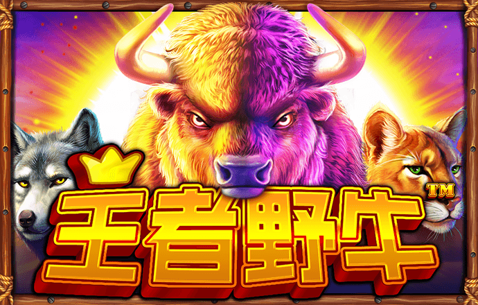 玄武正版心水资料