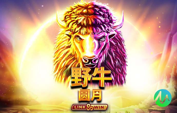 c7电子游戏(试玩游戏)