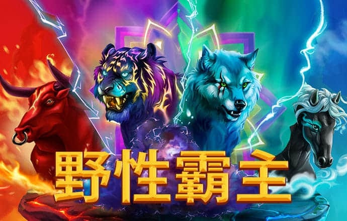 华体汇平台app