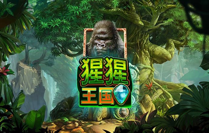 南宫28ng娱乐